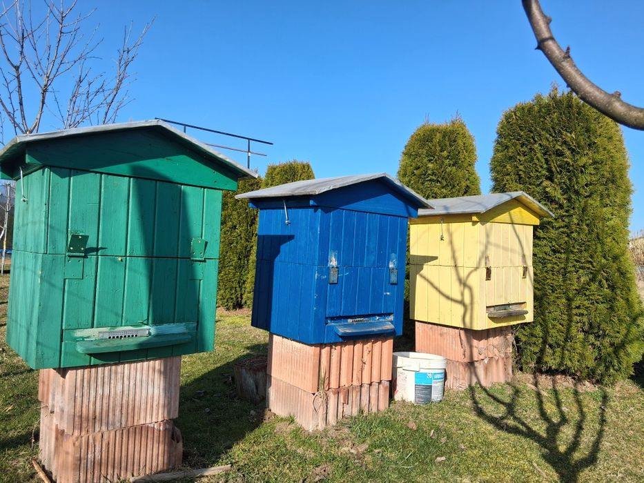 Sprzedam małą pasiekę bez pszczół