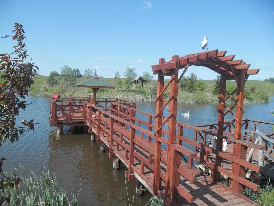 Domek do wynajęcia nad stawem