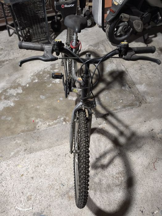 Bicicleta adulto
