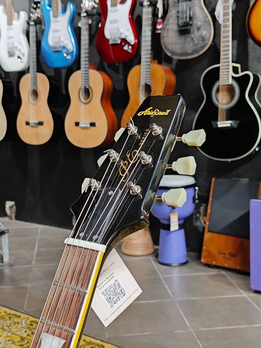 Zestaw Gitara Elektryczna Aria PE-350 STD AGBK + Laney LG35R