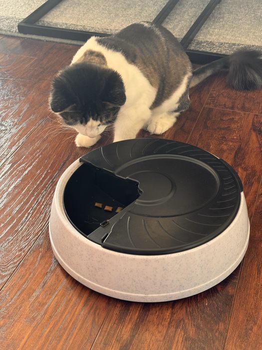 Trixie Automatyczny dozownik dla kota psa