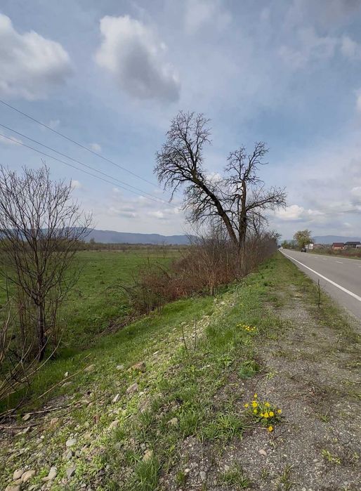 Продається земельна ділянка в с. Сокирниця