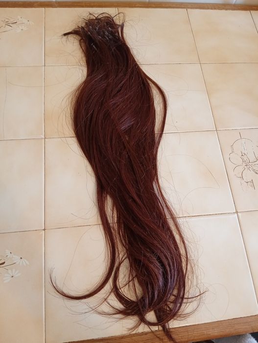 Cabelo humano regional brasileiro