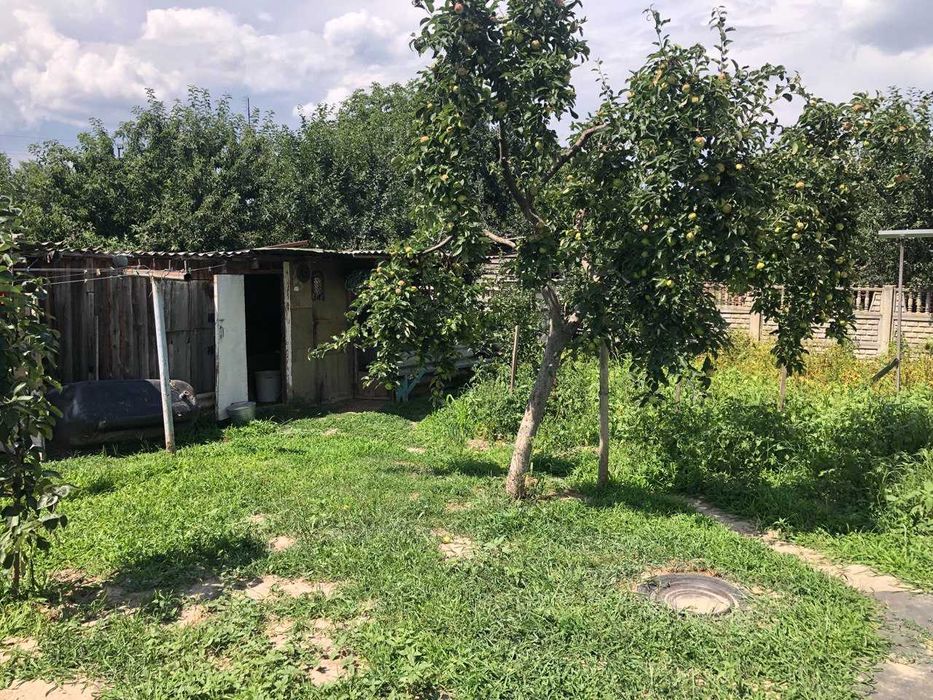 с. Фурси (м. Біла Церква) Київщина. Продаємо будинок поруч з містом.
