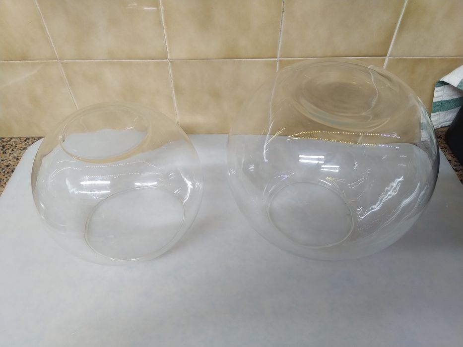 Aquário taça de vidro terrário vaso jarra casa quarto apartamento.