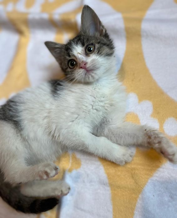 Kochana Patoka czeka tutaj na Ciebie !