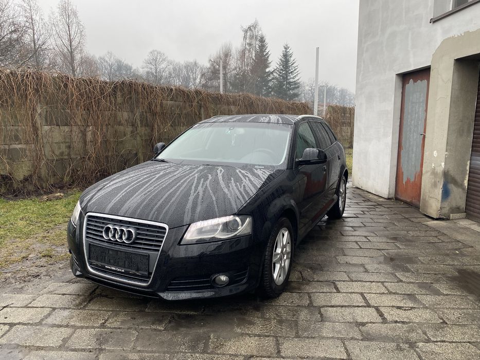 Audi A3 8P 2010 LIFT manual Brak rdzy Nowy rozrzad Xenon Alufelgi