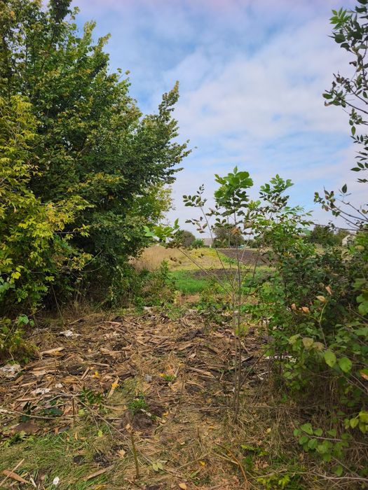 Продаж земельної ділянки