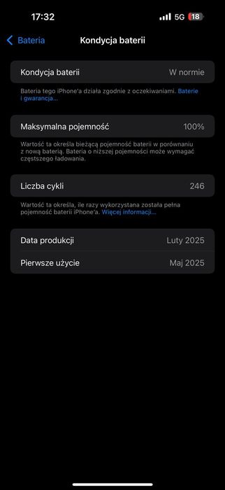 IPhone 16 Pro Max 256 GB Czarny