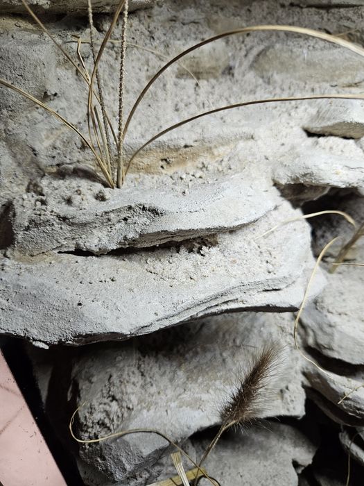 Terrarium pustynne gekon lamparci eublefar