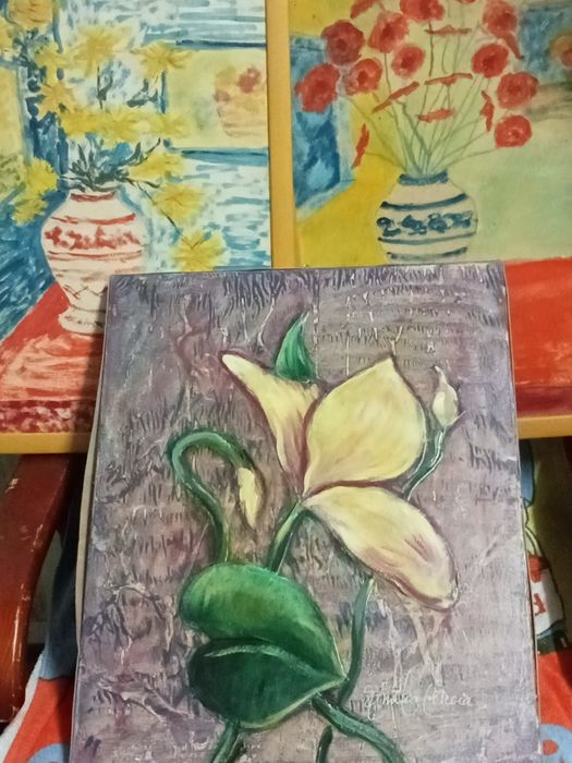 Mais de 20 quadros em bom estado