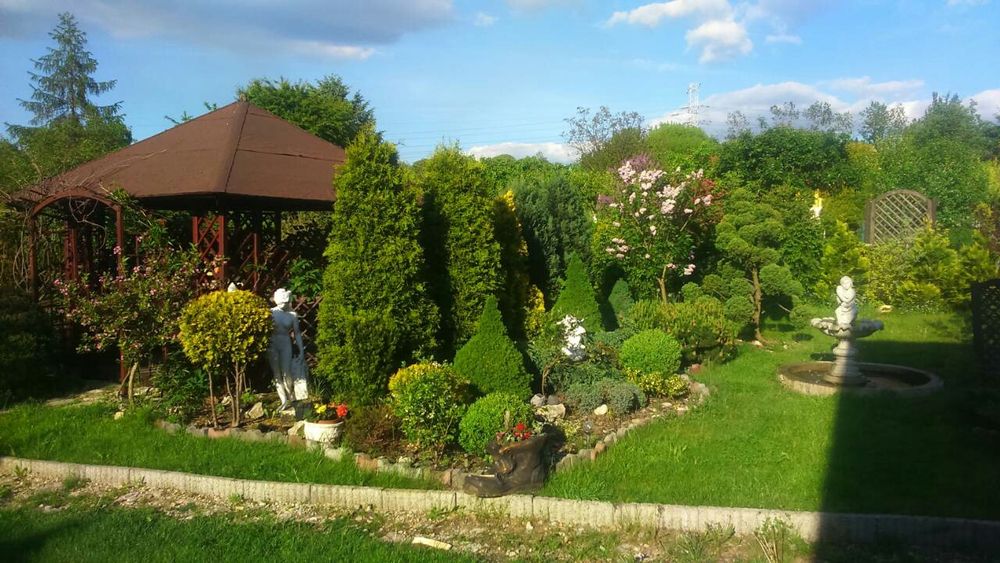 Zakładanie ogrodów, trawa z rolki, tarasy drewniane, pielęgnacja ogrod