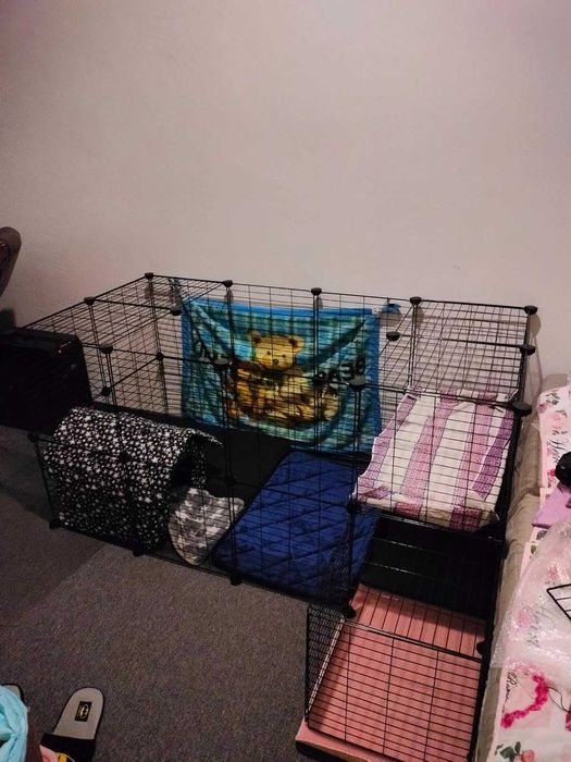 Wybieg NOWA Klatka Kojec dla KRÓLIKA Świnki Chomika PSA Modułowa DUŻA