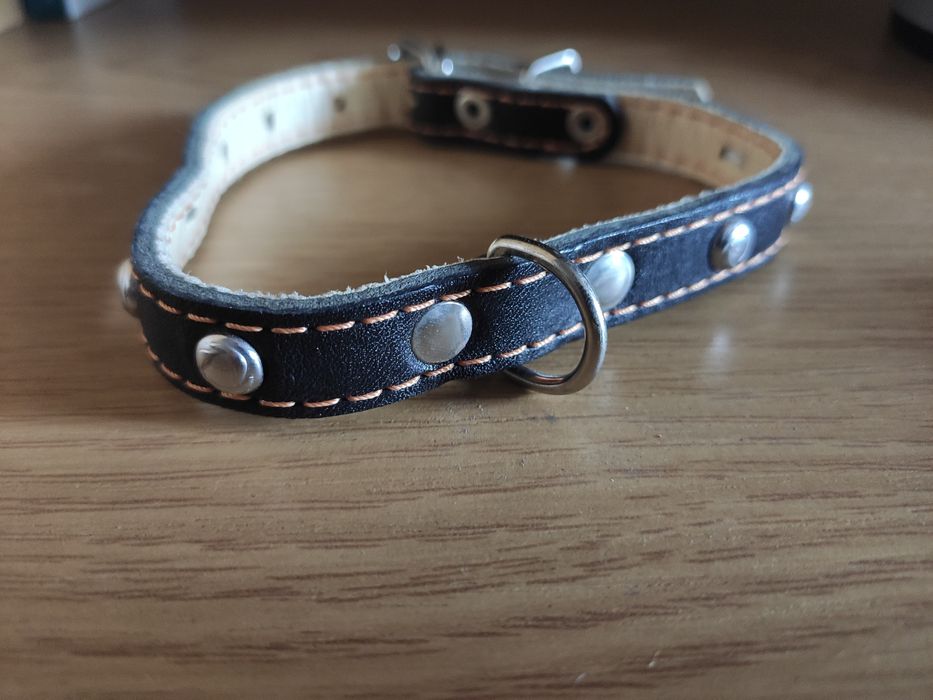 Ошейник collar .
