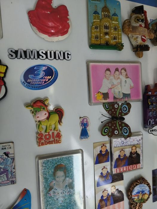Холодильник rl44scsw Samsung