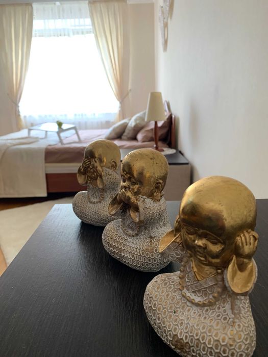 Центр. Простора 1 кімнатна квартира подобо. Власник. Звітні документи