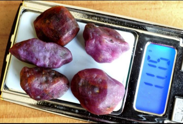 Lote de 5 Cristais de Rubi Bruto (55 ct / 11.15g) - Não Tratado,