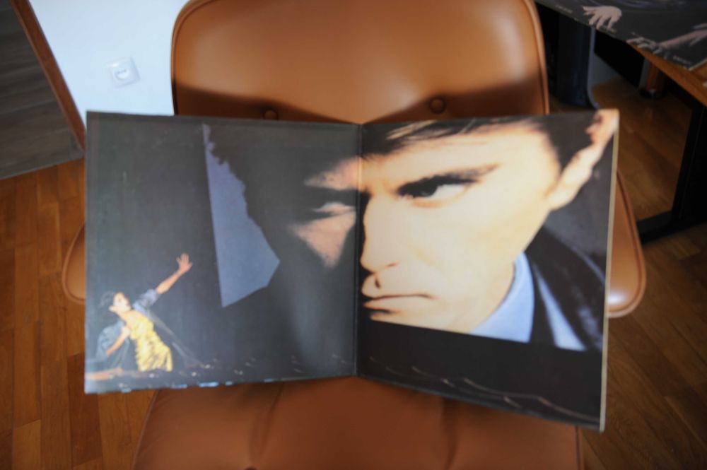 Bryan Ferry - The Bride Stripped Bare (Vinil)