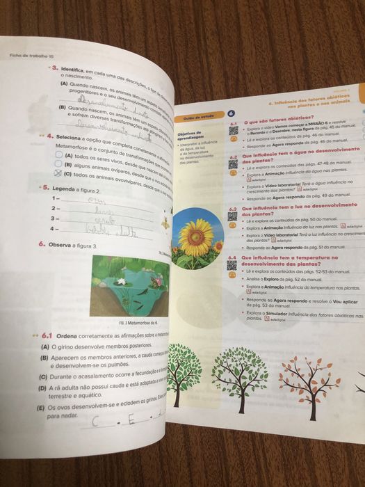 Caderno atividades/ livro fichas ciencias 5 ano