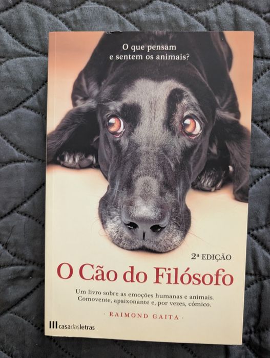 O cão do filósofo