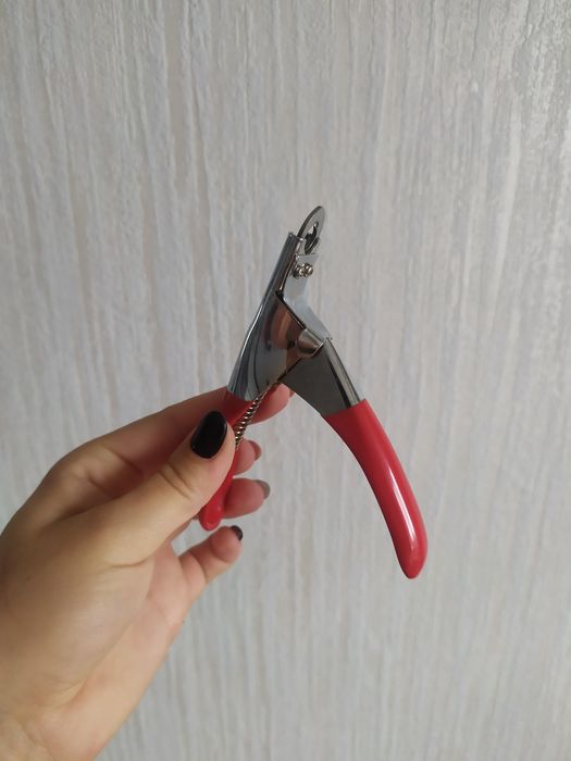 Зоотовары для кошачих