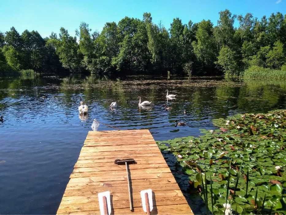 Domek letniskowy do wynajęcia