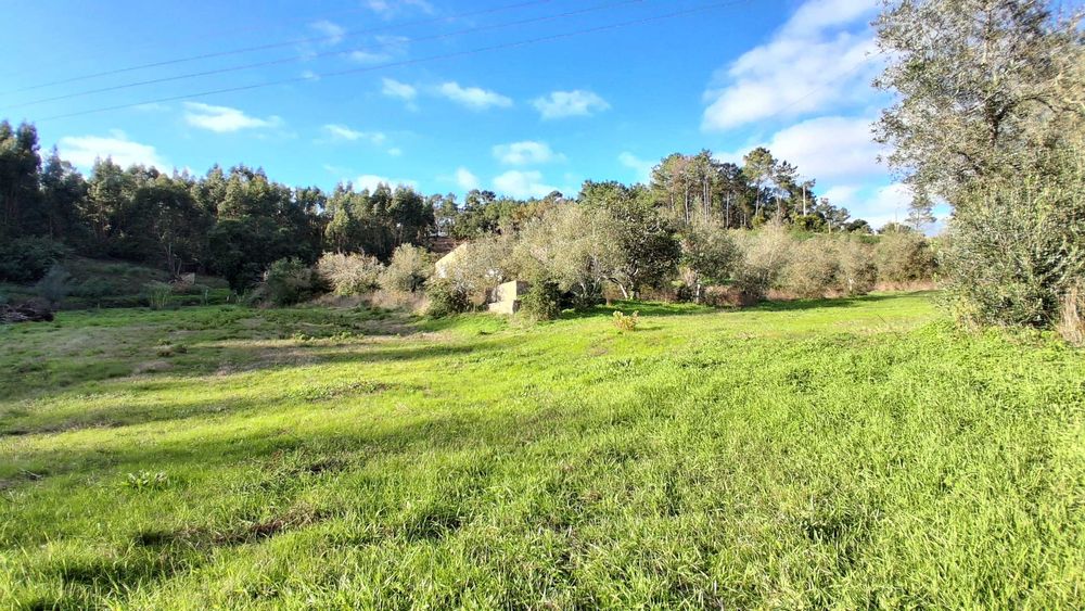 Quinta com 3 hectares a 20 km de Lisboa
