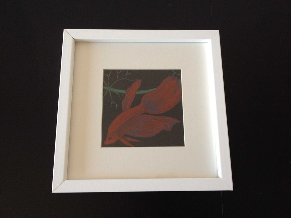 Molduras com Ilustrações de Peixes