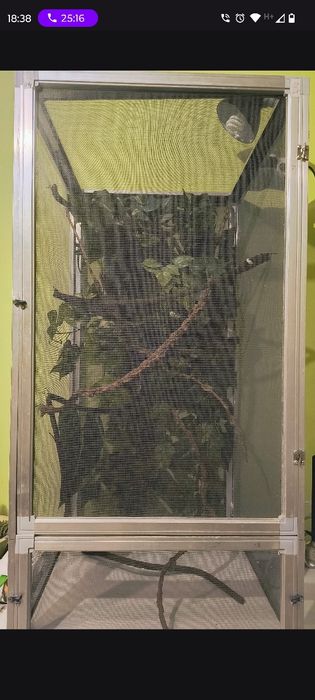 Terrarium plus wyposażenie