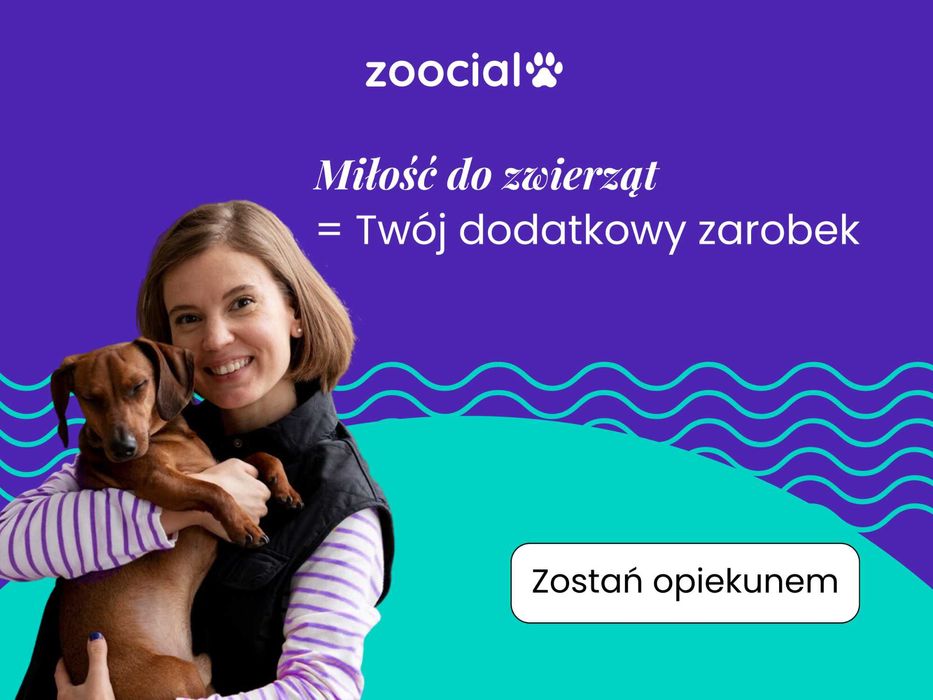 Zarabiaj, opiekując się psami i kotami – elastyczność, cała Polska