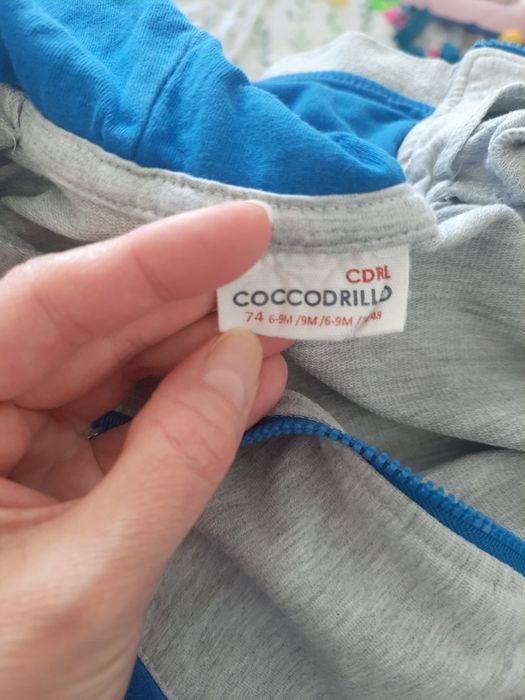Bluza zapinana Coccodrillo