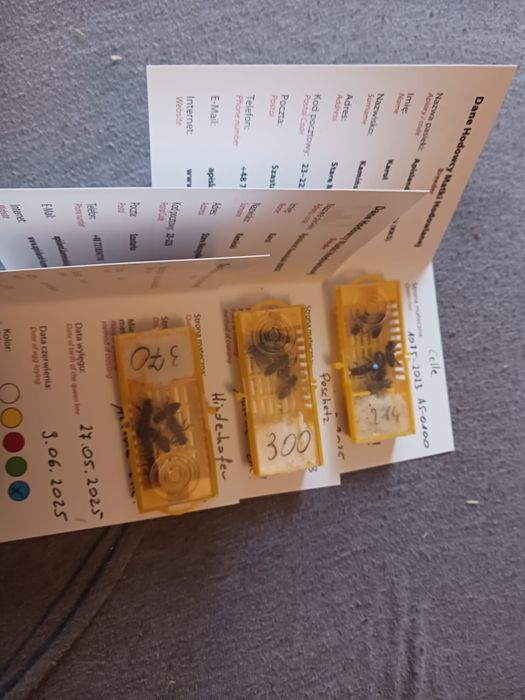 Matki pszczele najwyższej jakości