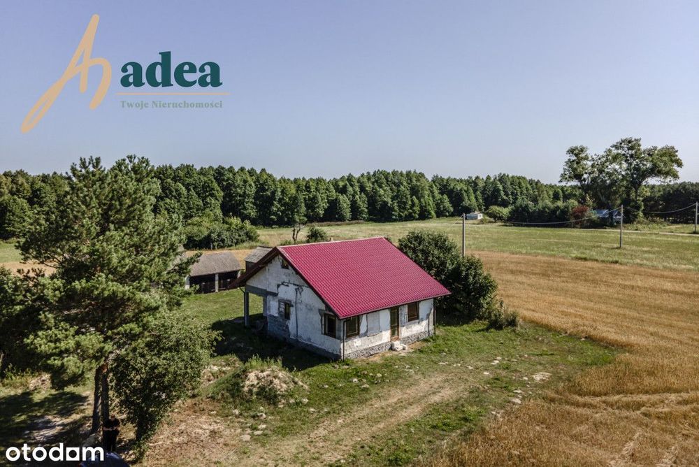 Siedlisko 1,8 ha | dom po gruntownej przebudowie