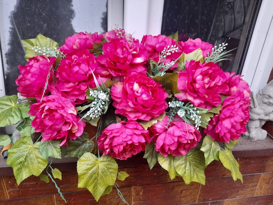 Kwiat w donicy ogromny