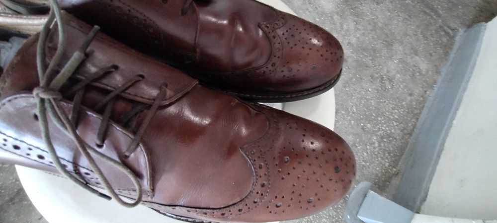 Buty Backford Red Tape Brogsy Made in India skóra