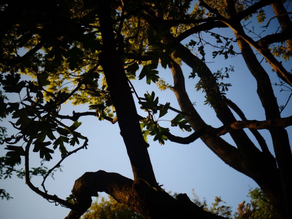 Sony W-830 в ІДЕАЛІ!