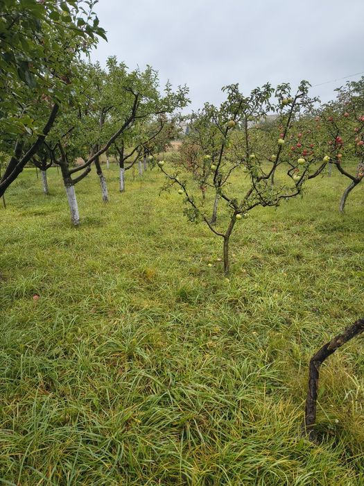 Продається земельна ділянка