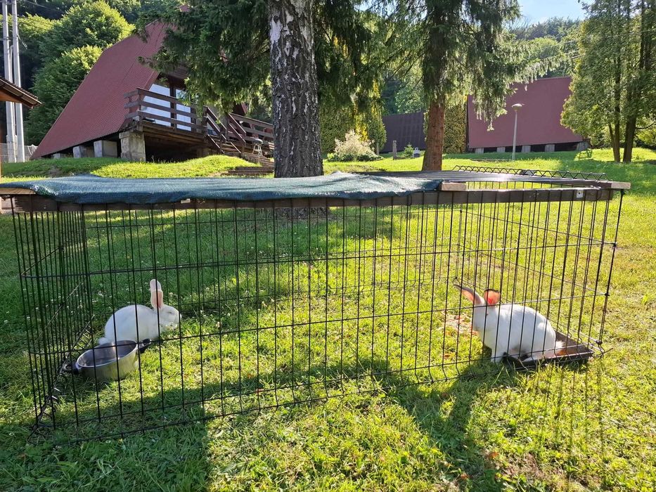 Domek w Bieszczadach Solina Polanczyk i okolice. Noclegi blisko wody