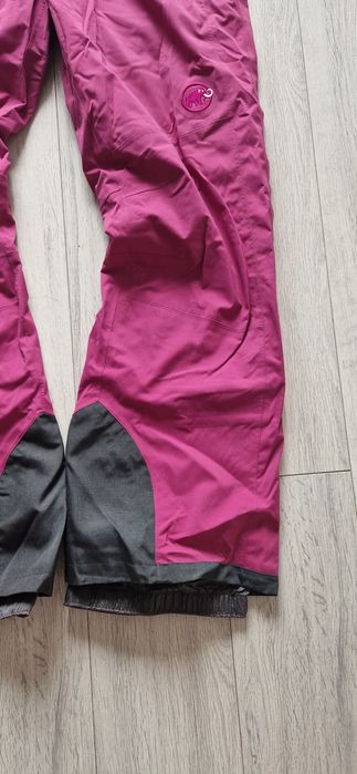 Mammut  L.        .