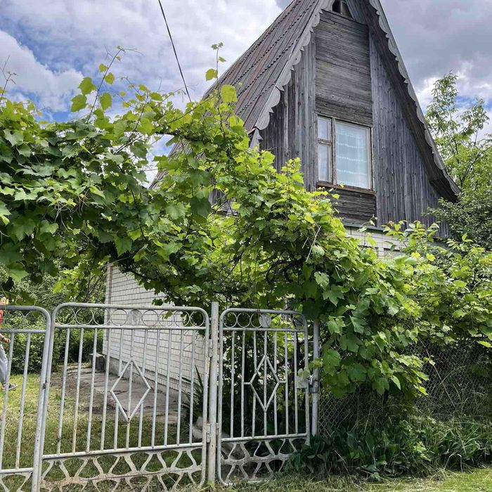 Продам будинок , дача , Нова Украінка