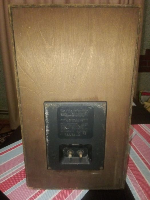 Колонка акустична S30 RADIOTEHNЇIKА без кришки.