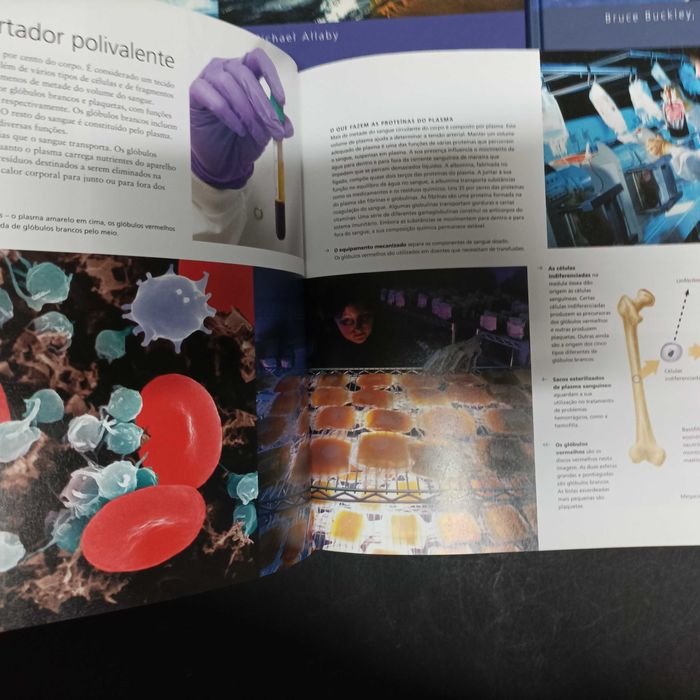Enciclopédia Visual