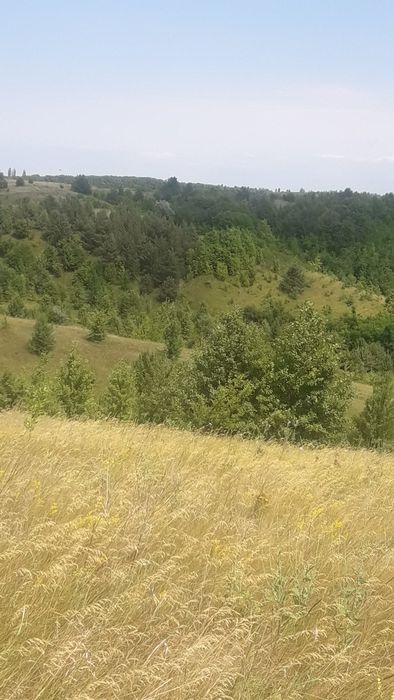 Продаж 5-ти зем. діл-к в с. Виграїв Корсунь-Шевченківськ. району