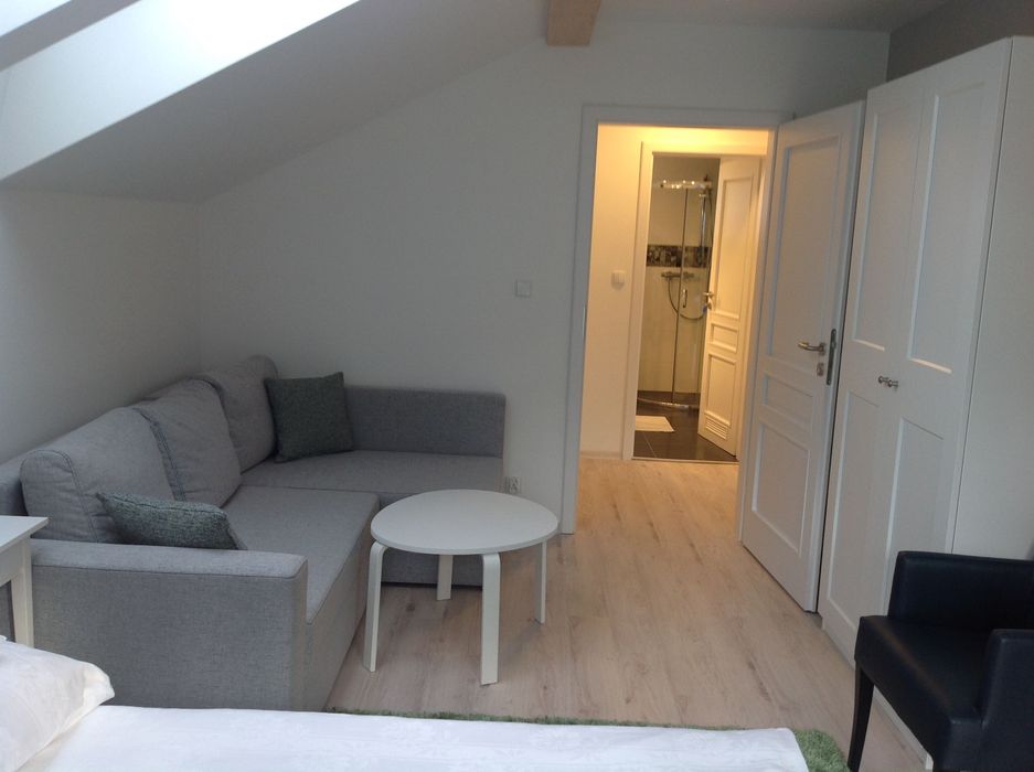 Pokój 2-3 osobowy z balkonem - piękny widok na góry i rzekę