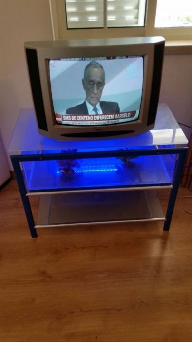 Mesa de vidro para tv com aquario