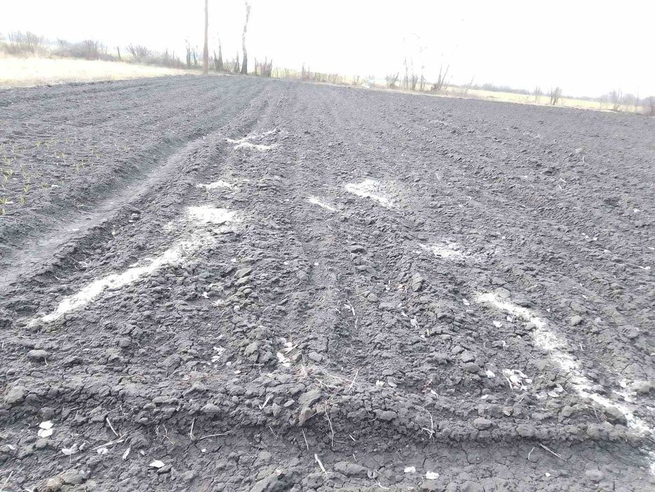 Продам будинок в с. Майстрів