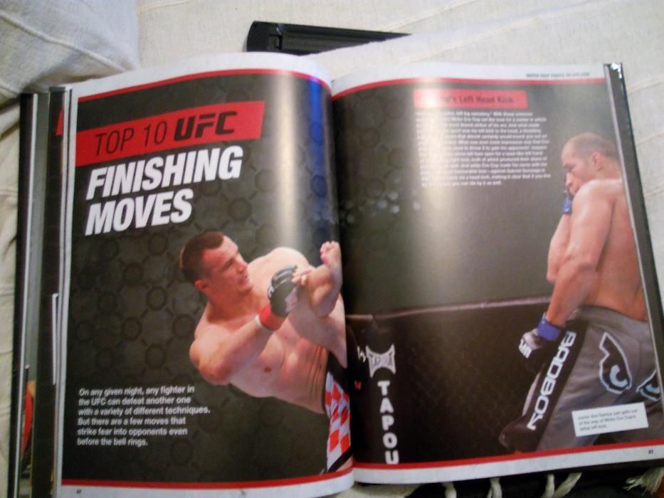UFC fan guide