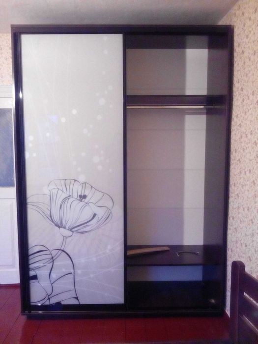Шкаф купе 160х240х60 с фотопечатью