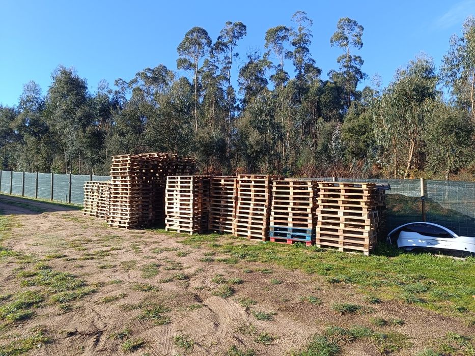 Paletes madeira  semi novas