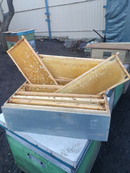 Рамки пчелиные 145 и 300.Сушь.Вощина